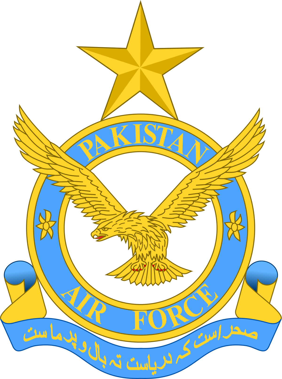 Pakistan Air Force - Partner